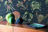 MissoniHomeWallcoverings04_Constellations_10353_Roomshot