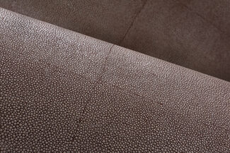 icons-shagreen-85527-mood